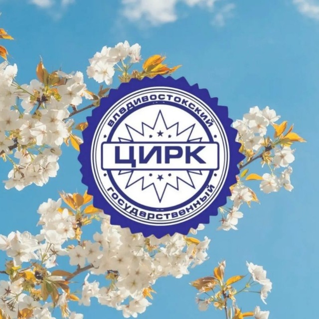 Аватар канала Владивостокский цирк ФКП "Росгосцирк"