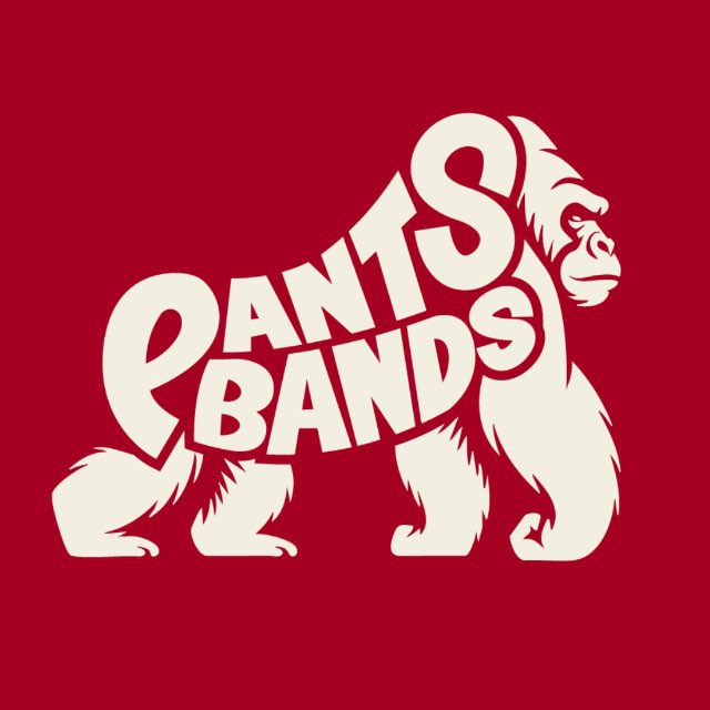 Аватар канала PANTS BANDS