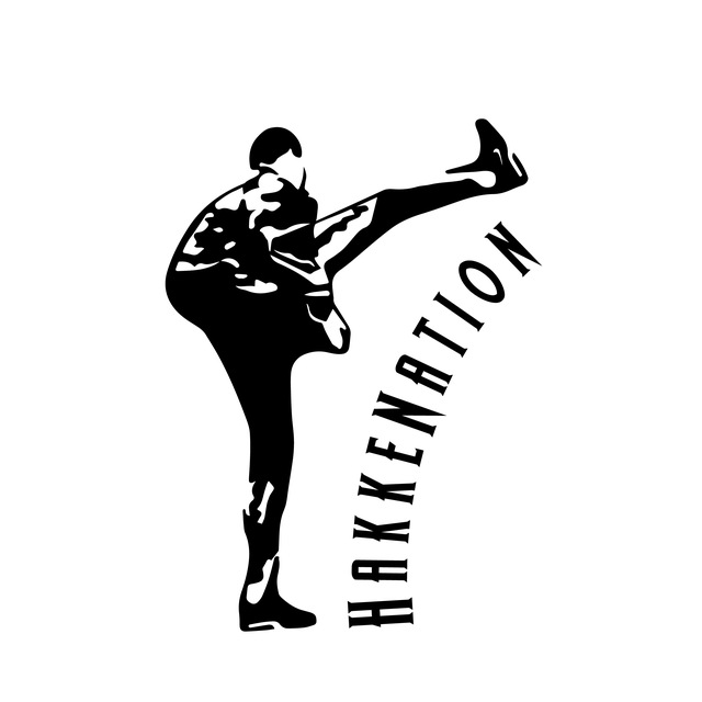 Аватар канала ️HakkeNatioN