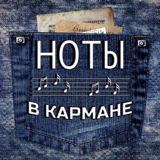 Аватар канала 🎼 Ноты в кармане 🎼