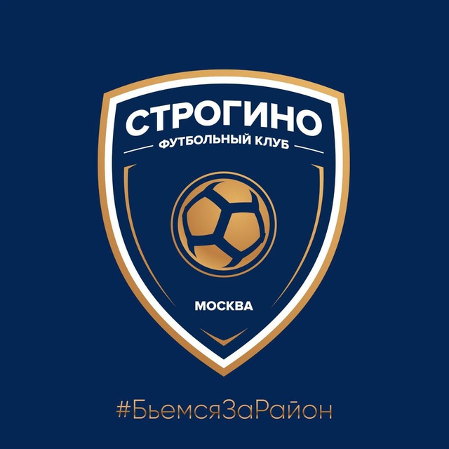 Аватар канала Спортивная школа ФК «Строгино»