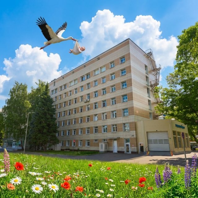 Аватар канала Роддом ГКБ им. Ф.И. Иноземцева (ранее № 36, № 20)