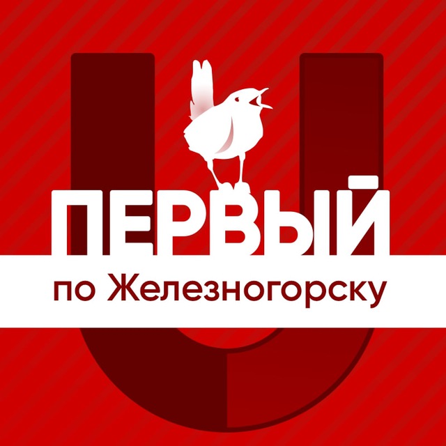 Аватар канала Первый по Железногорску