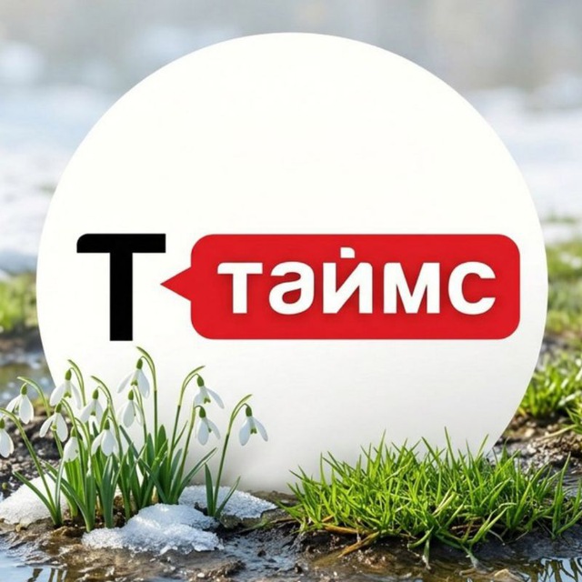 Аватар канала Т-ТАЙМС