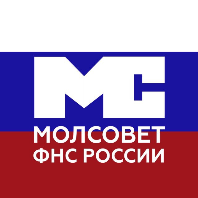 Аватар канала Молодежный совет ФНС России