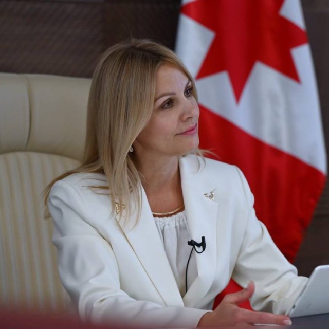 Аватар канала Тойкина об архиважном