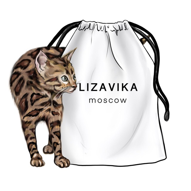 Аватар канала LIZAVIKA