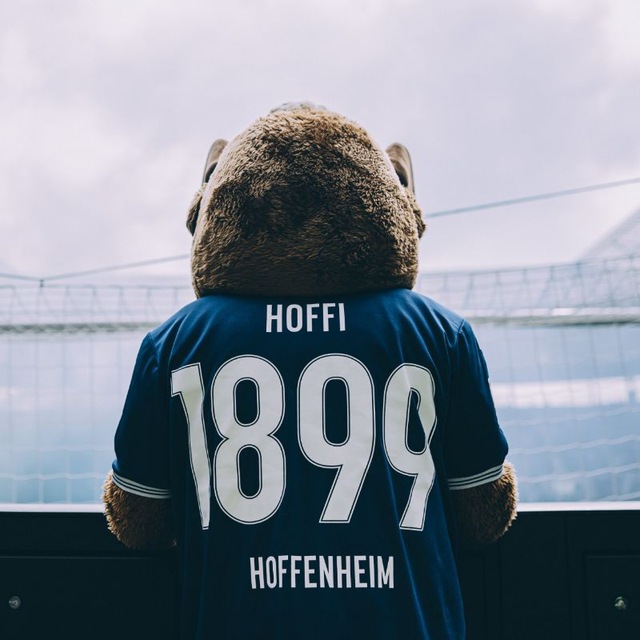 Аватар канала TSG 1899 Hoffenheim | Хоффенхайм