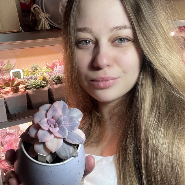Аватар канала 𝐒𝐮𝐜𝐜𝐮𝐥𝐞𝐚🦊