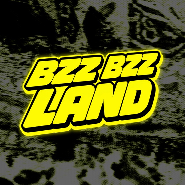 Аватар канала BZZ BZZ LAND | Borussia Dortmund