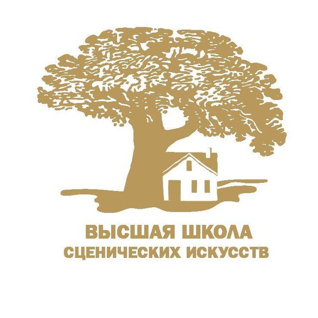 Аватар канала Школа Райкина (ВШСИ)🏡