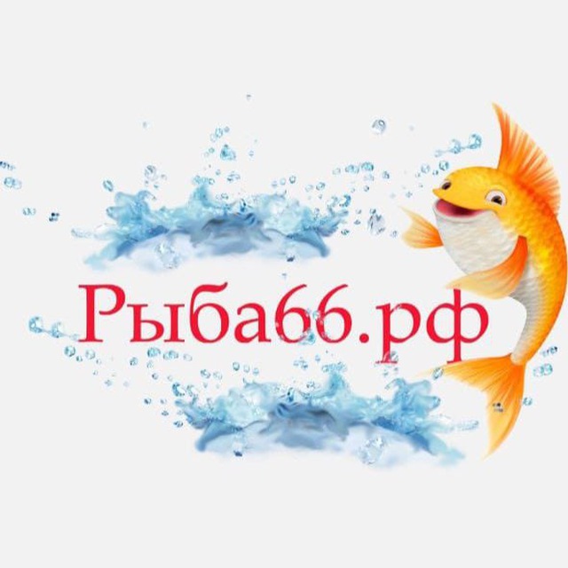 Аватар канала Рыба66.рф Екатеринбург 🌊