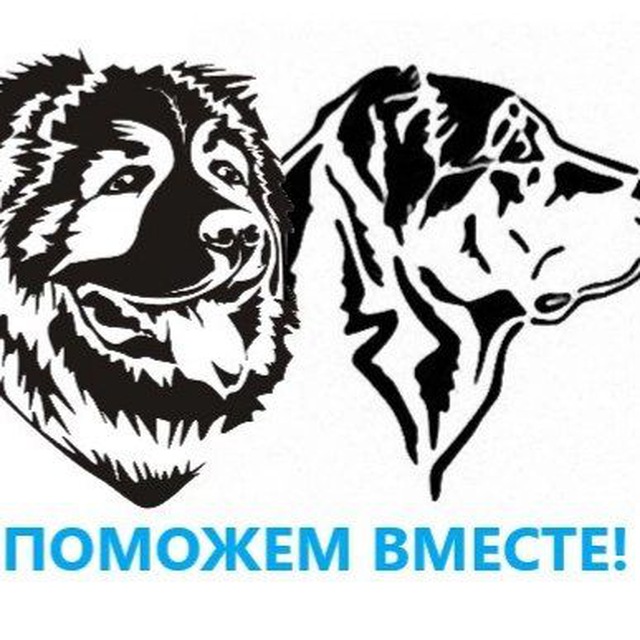 Аватар канала Поможем вместе 39