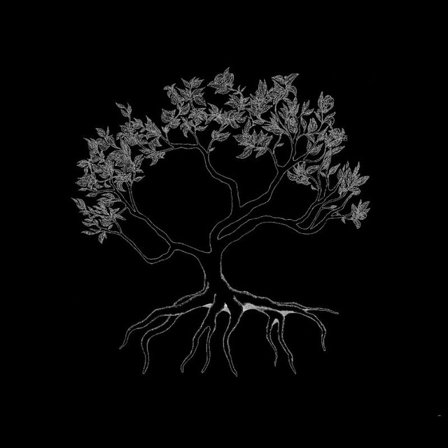Аватар канала eshen_tea_project