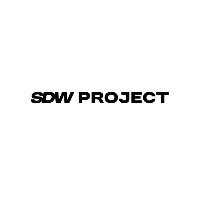 Аватар канала SDW Project
