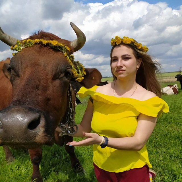 Аватар канала Натали из Зари