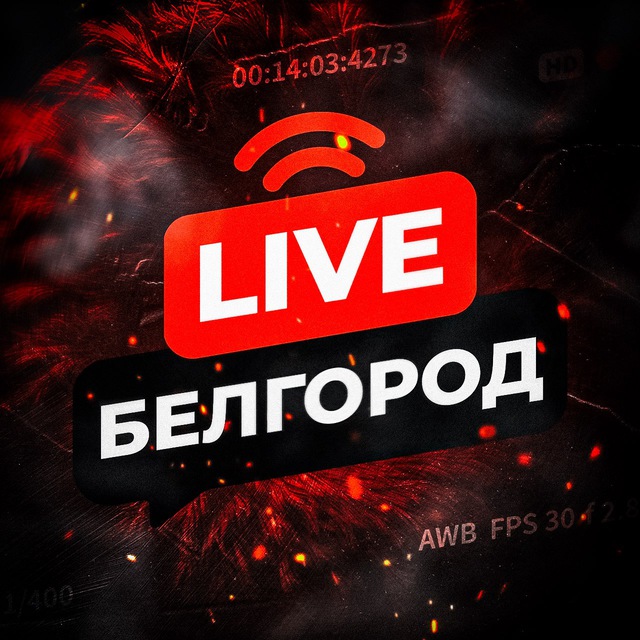 Аватар канала 🚨Белгород | Live