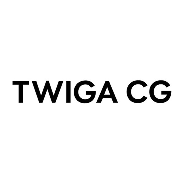 Аватар канала TWIGA Channel