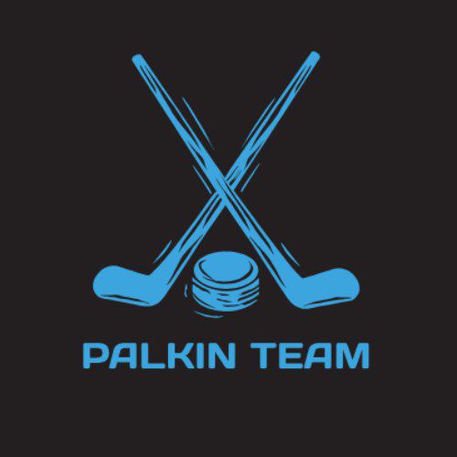 Аватар канала PALKIN TEAM