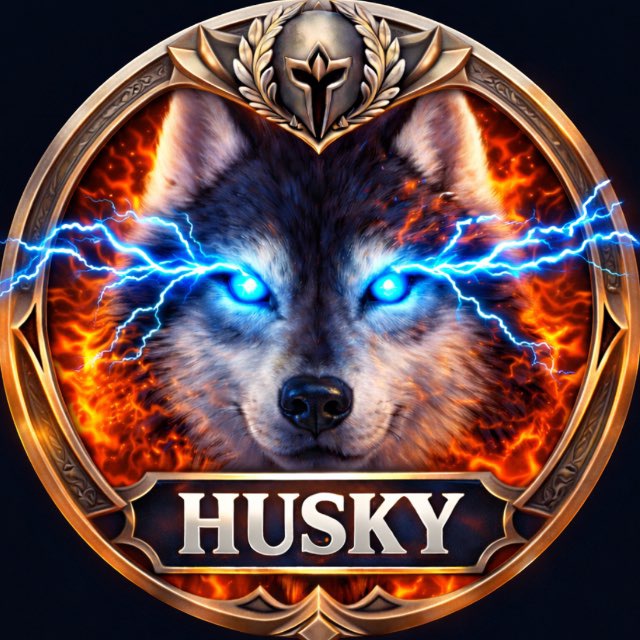 Аватар канала Husky / Raid: SL
