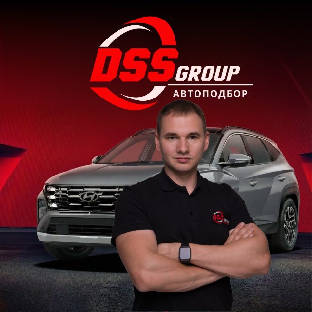 Аватар канала DSS Group | Автоподбор, Импорт и Проверка Авто