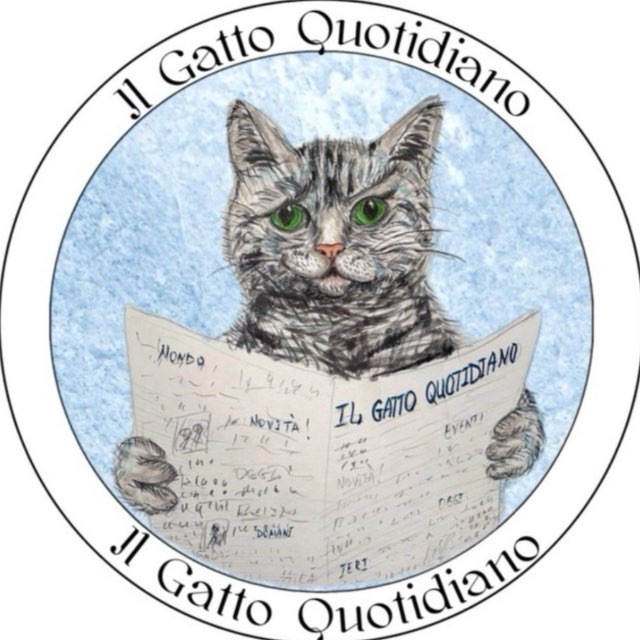 Аватар канала Il Gatto Quotidiano