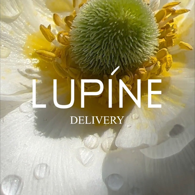 Аватар канала Lupine