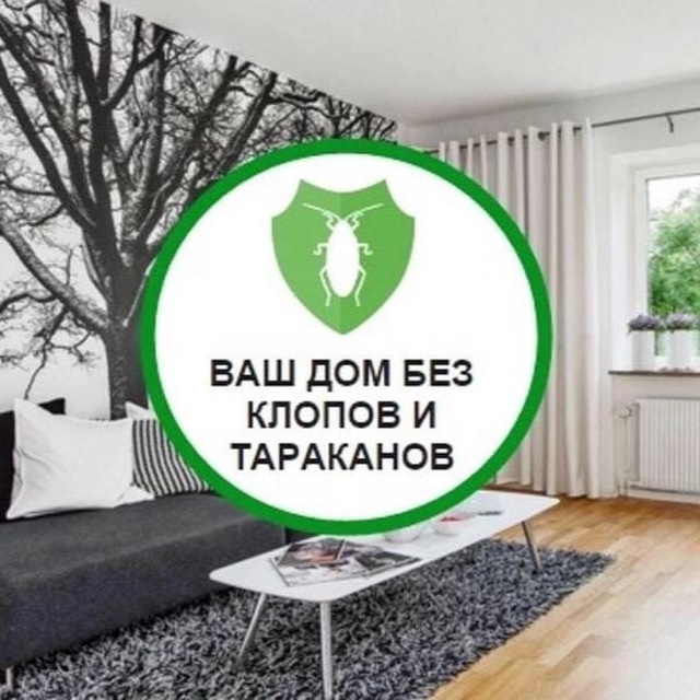 Аватар канала tarakan34.ru