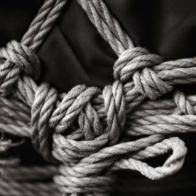Аватар канала afnseva_shibari ☯️