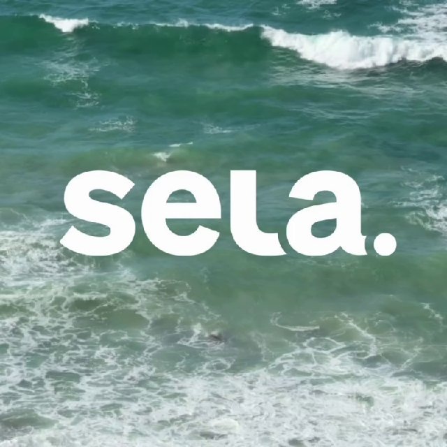 Аватар канала SELA