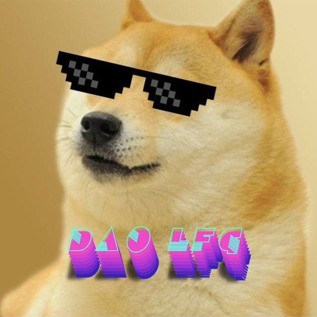 DAO LFG / Аирдропы / Заработок в крипте