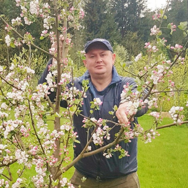 Аватар канала Сад Дмитрия forumsad Всё об уходе за плодовым садом