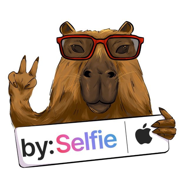 Аватар канала BySelfie📱⌚️🎮💻📷