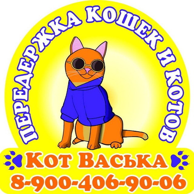 Аватар канала Котогостиница "Кот Васька"