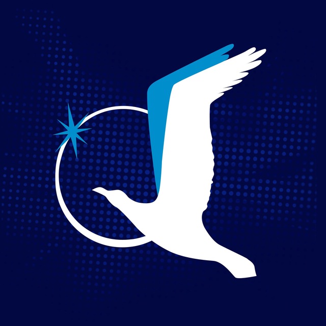 Аватар канала SMP Esports