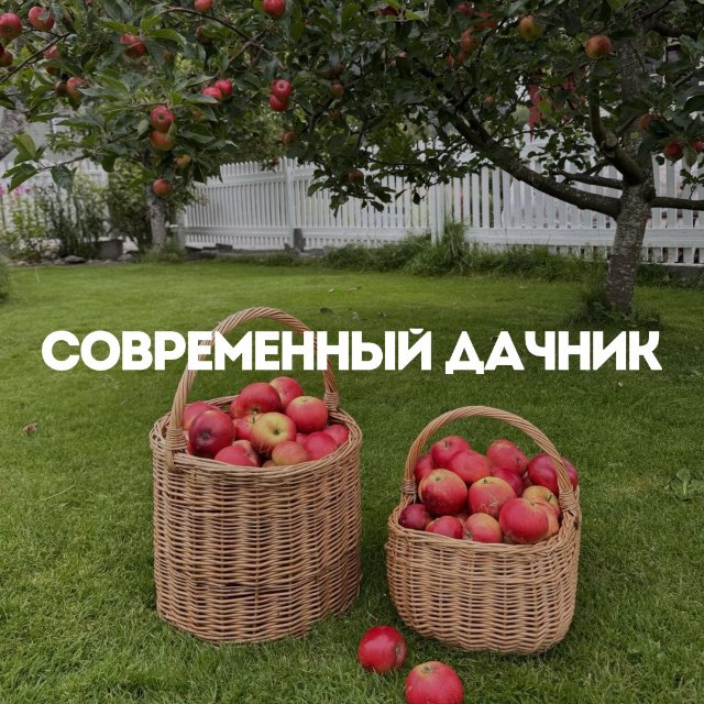 Аватар канала Современный дачник