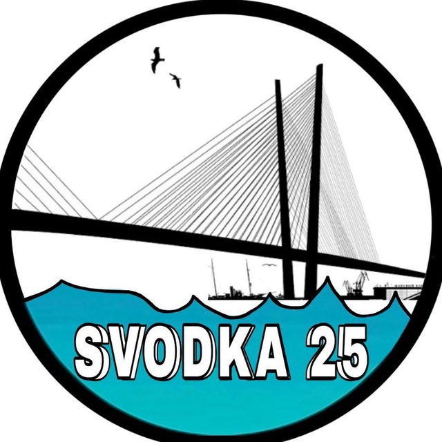 Аватар канала Svodka25 l Новости Приморья и Владивостока