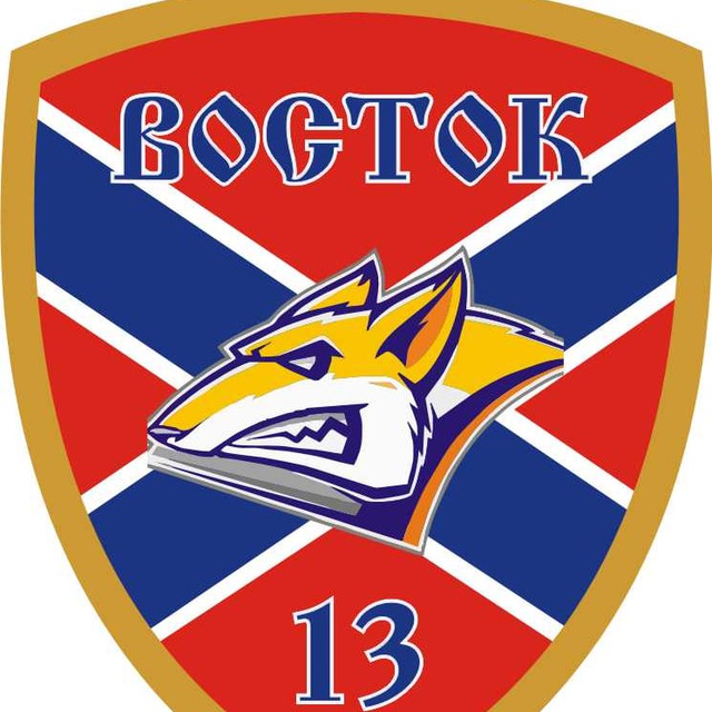 Аватар канала 🅉 ВОСТОК-13