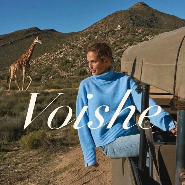 Аватар канала voishe