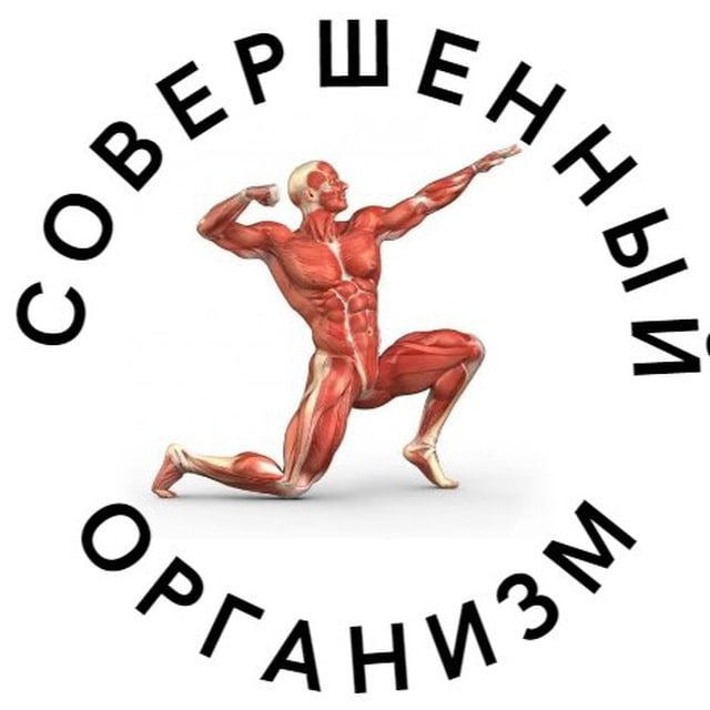 Аватар канала Совершенный организм