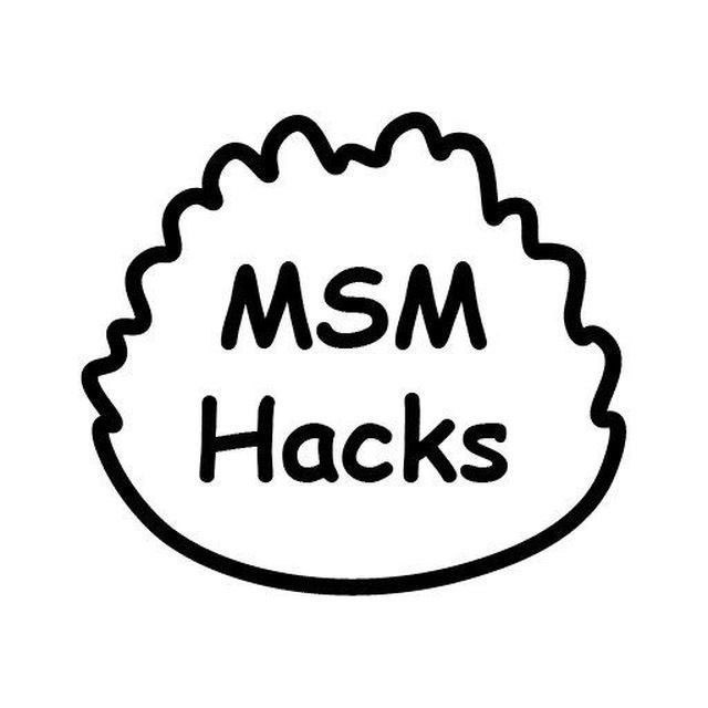 Аватар канала MSM Hacks