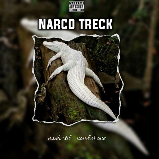 Аватар канала — NARCO TRECKོ 🇮🇹