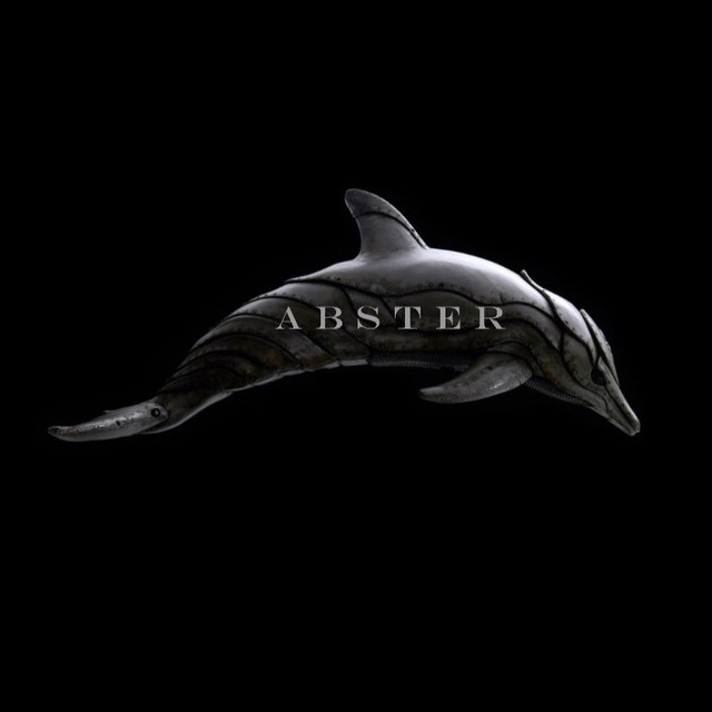 Аватар канала ᴀ ʙ s ᴛ ᴇ ʀ 🐬