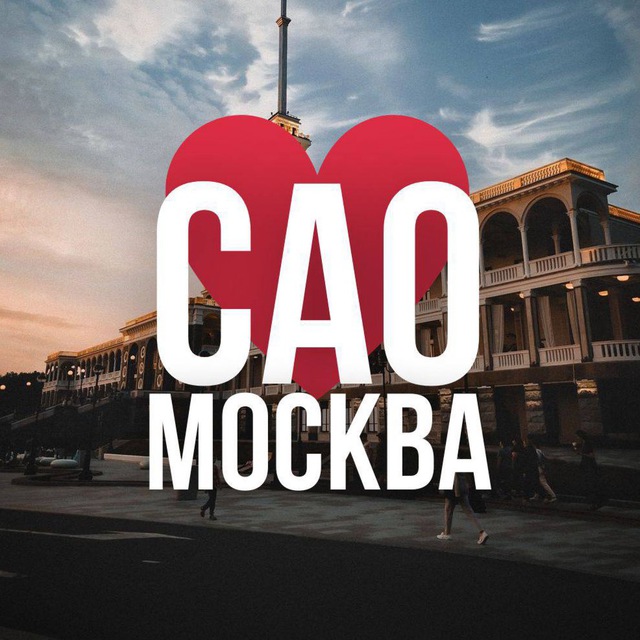 Аватар канала САО ОНЛАЙН МОСКВА