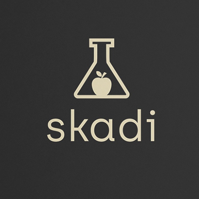 Аватар канала SKADI