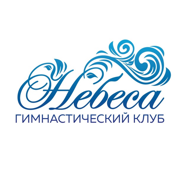 Аватар канала Nebesasport - «Небеса» гимнастический клуб