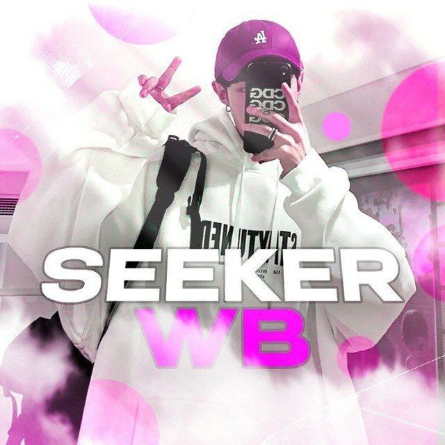 Аватар канала seekerWB