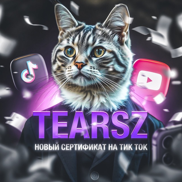 Аватар канала tearsz(слёзки) (мод на айфон/ютуб ) Новый сертификат на тик ток (айфон и андроид)