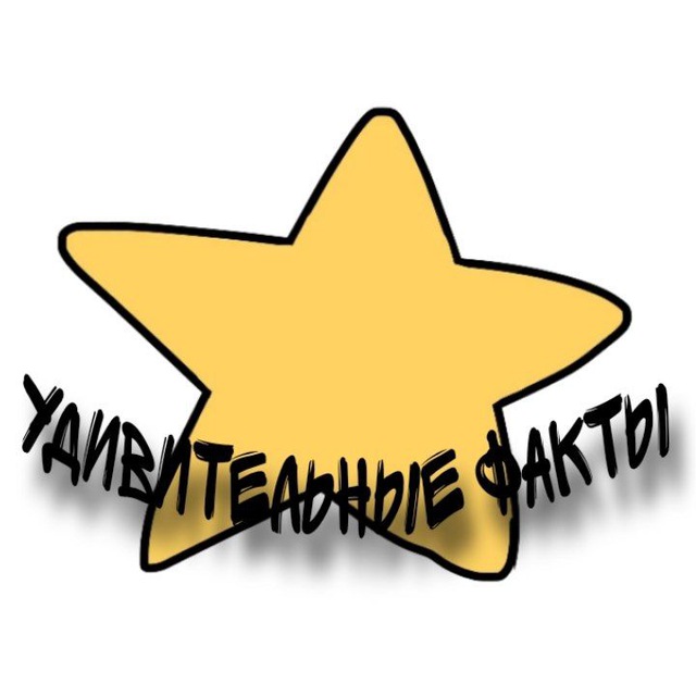 Удивительные факты️