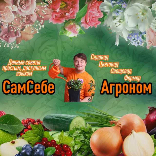 Аватар канала СамСебеАгроном